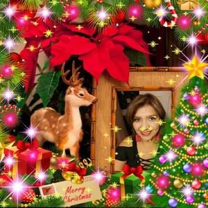 Meet your Posher, Veronica